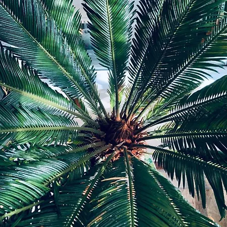 Les Grands Jardins Casa de Férias *